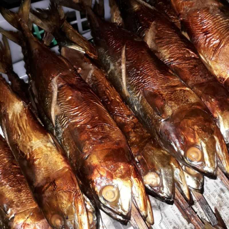 IKAN ASAP
